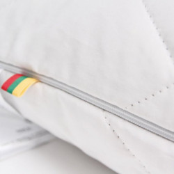 Fėjos namai vidutinio kietumo šilko pagalvė 60x60 balta lietuviška pagalvė su užtrauktuku