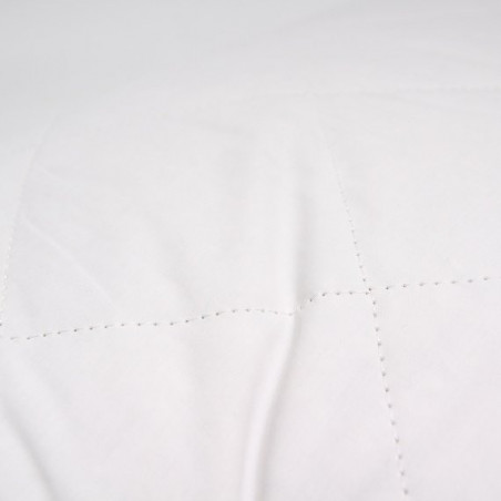 Prabangi tencelio pagalvė, daigstyta su lino pluoštu 2