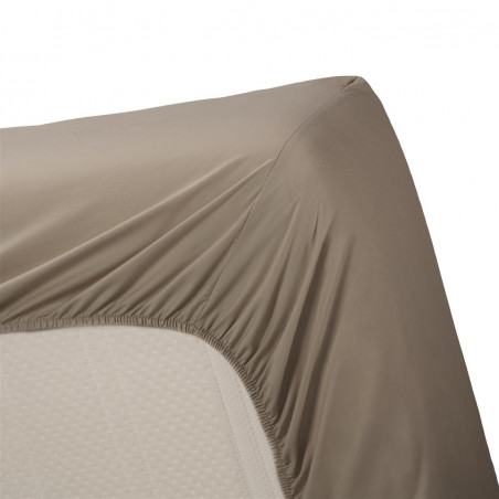 Paklodė su guma Percale HL Taupe 1