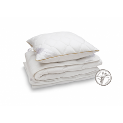 comco-antklode-pagalve-su-bambuku-bamboo-quilt-and-pillow (1).png