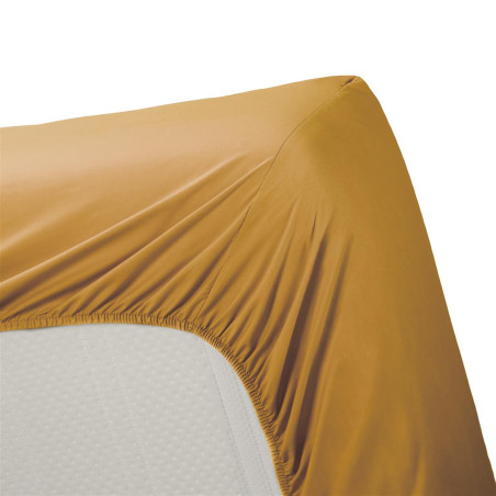 Cotton Uni HL Ochre paklodė su guma 1